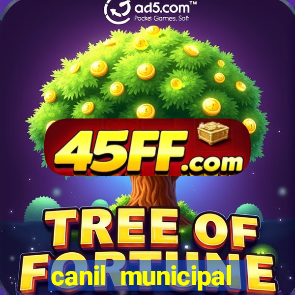canil municipal porto alegre